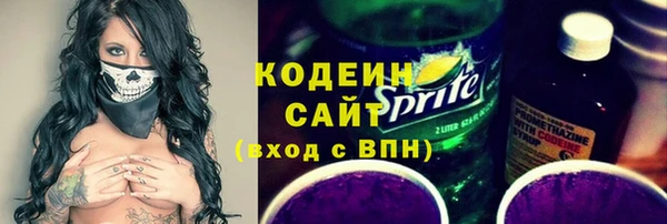 хмурый Мегион