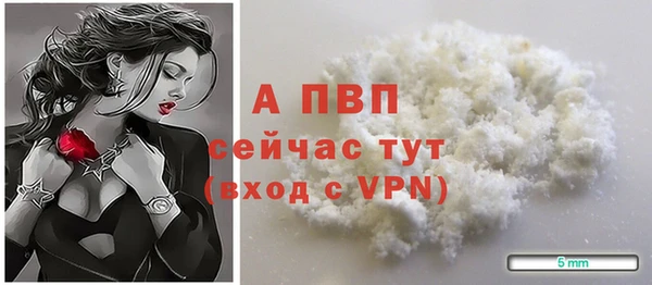 хмурый Мегион