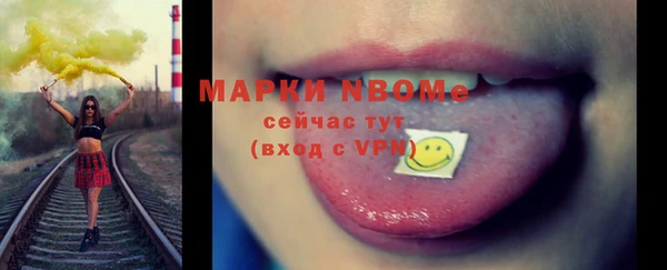 хмурый Мегион