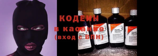крисы Медвежьегорск