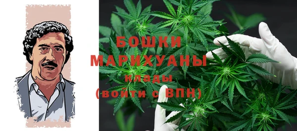 молекула духа Медногорск