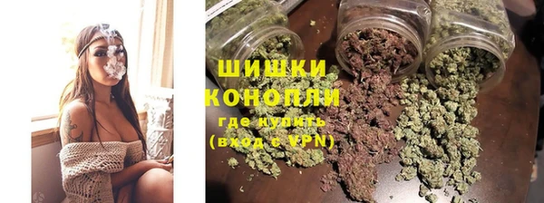 хмурый Мегион